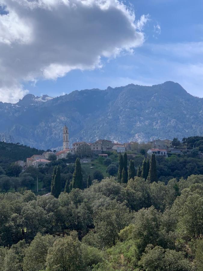 A Furtezza Διαμέρισμα Soveria Εξωτερικό φωτογραφία